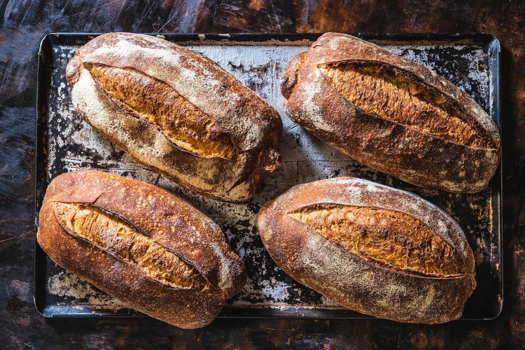 Four sourdough bread loaves in a baking tray